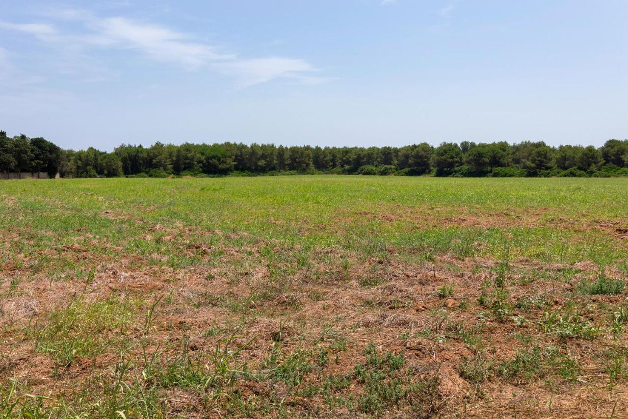 Masseria Specchiulla Οτράντο Εξωτερικό φωτογραφία