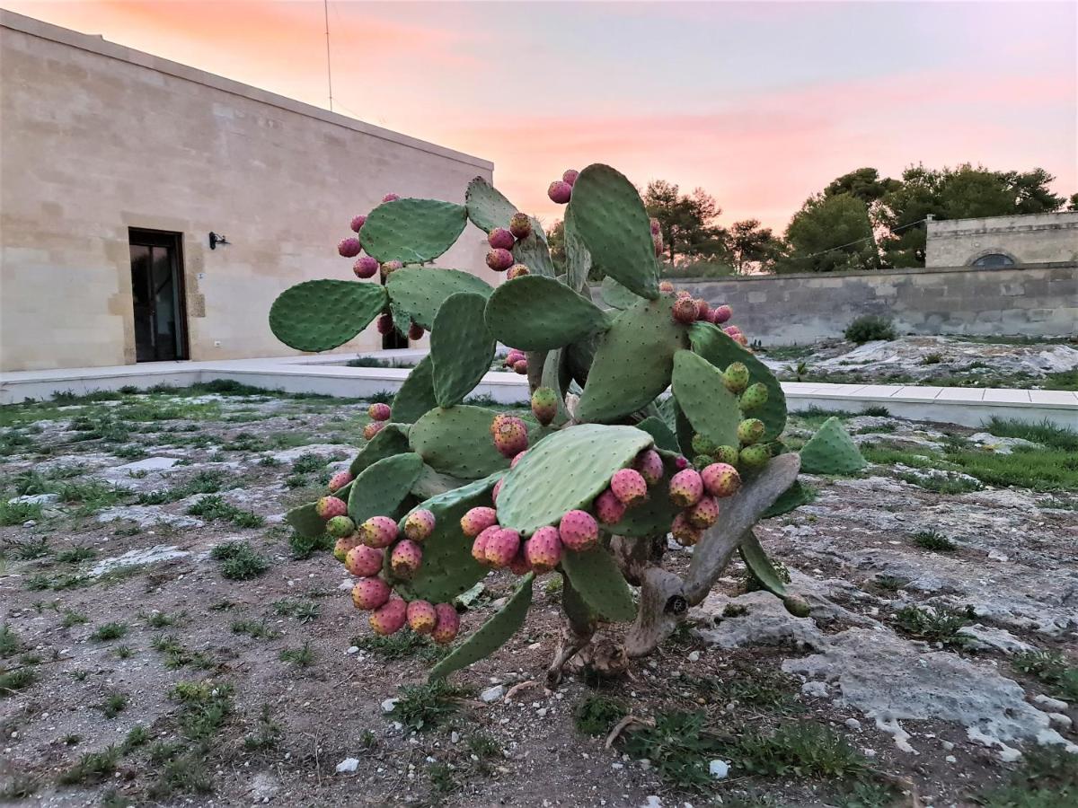 Masseria Specchiulla Οτράντο Εξωτερικό φωτογραφία