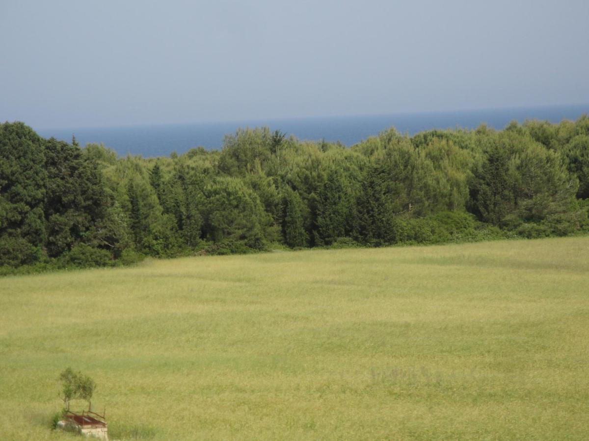 Masseria Specchiulla Οτράντο Εξωτερικό φωτογραφία